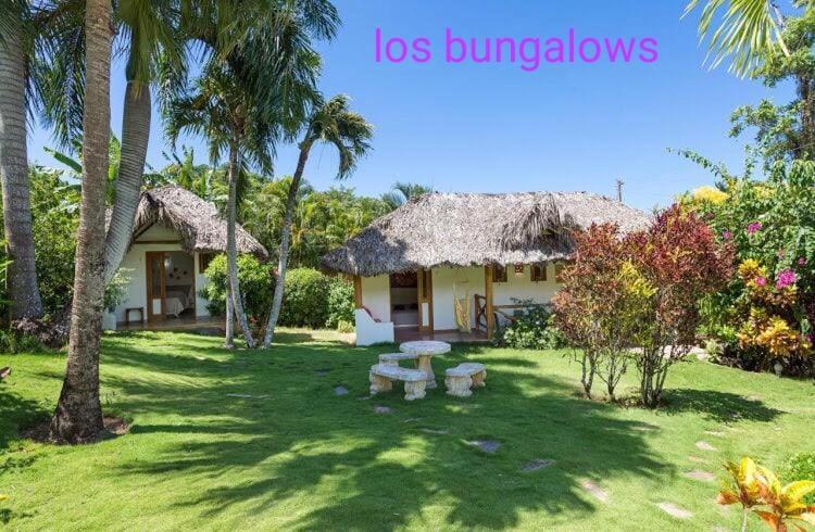Willa Casa Flamingo Las Terrenas Zewnętrze zdjęcie
