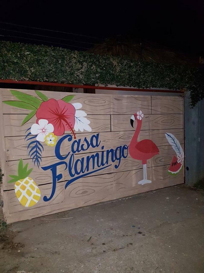 Willa Casa Flamingo Las Terrenas Zewnętrze zdjęcie