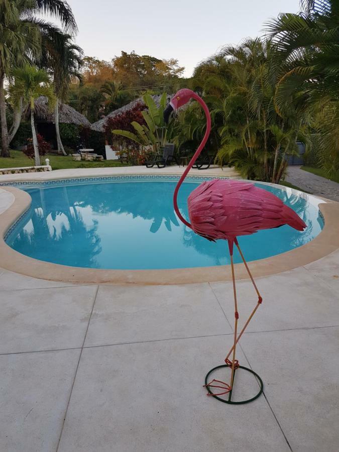 Willa Casa Flamingo Las Terrenas Zewnętrze zdjęcie