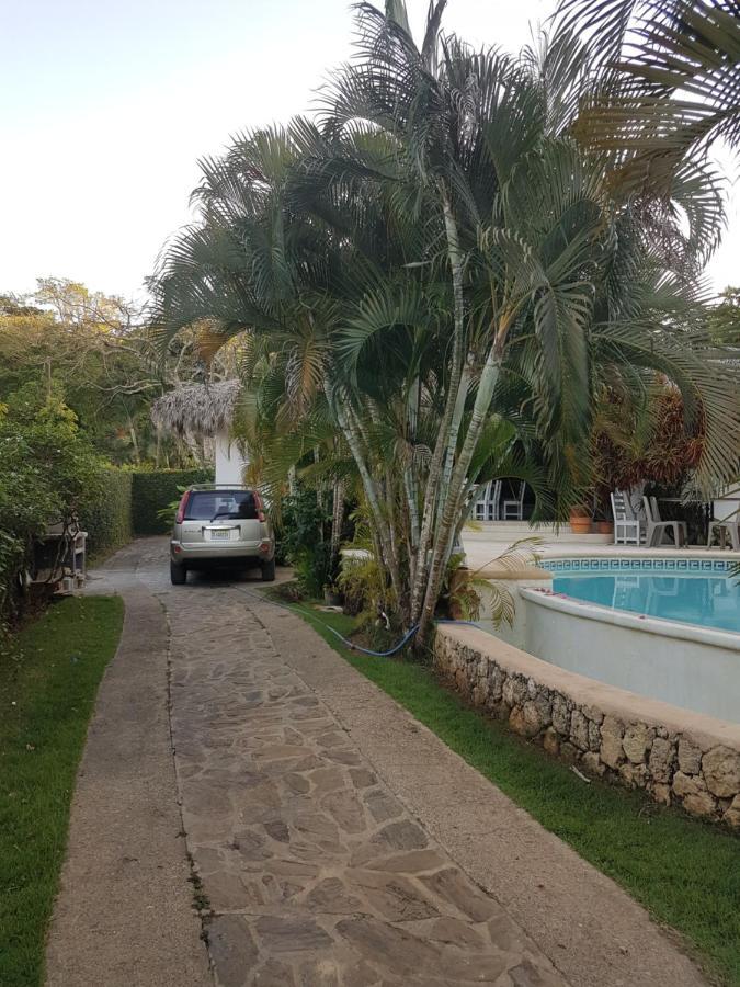 Willa Casa Flamingo Las Terrenas Zewnętrze zdjęcie