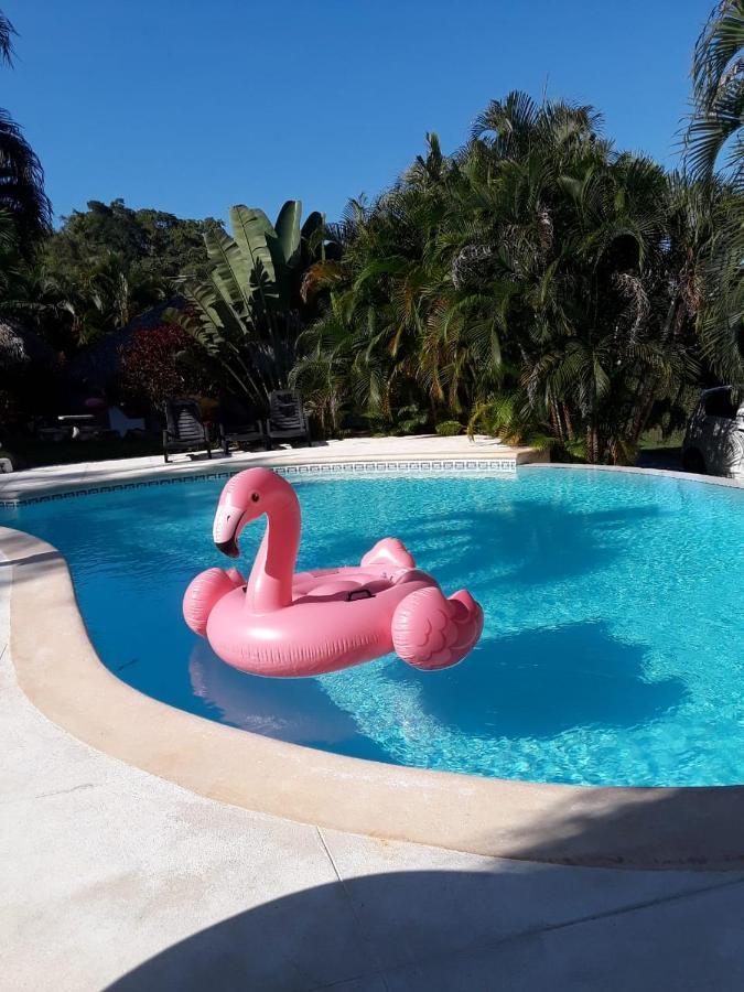 Willa Casa Flamingo Las Terrenas Zewnętrze zdjęcie